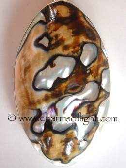 Healing Shell